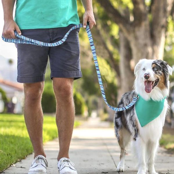 4ft nylon dog leash printed pet lead leash rope for small medium large dogs chihuahua pitbull 120cm pet walking wmtffi
4ft nylon dog leash printed pet lead leash rope for small medium large dogs chihuahua pitbull 120cm pet walking wmtffi
