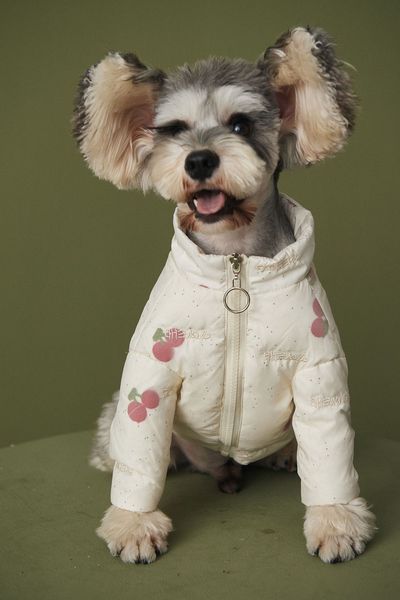 winter dog clothes pet down jacket puffer coat ski wear cherry embroidery real duck down poodle yorkie maltese
winter dog clothes pet down jacket puffer coat ski wear cherry embroidery real duck down poodle yorkie maltese