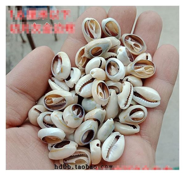 50pcs light gray natural sea shell loose beads accessories for diy bracelets ornaments home fish tank conch jllvnm
50pcs light gray natural sea shell loose beads accessories for diy bracelets ornaments home fish tank conch jllvnm
