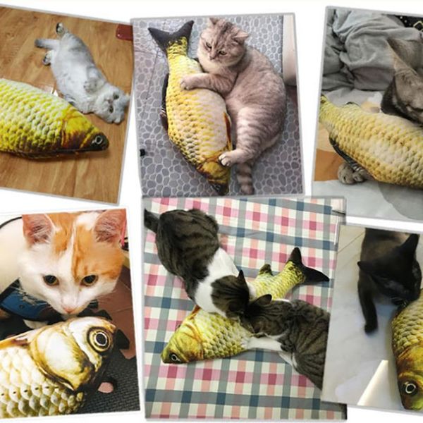 cat toys 20/30/40 cm simulation fish plush animals carp/grass carp pillow funny pet animal
cat toys 20/30/40 cm simulation fish plush animals carp/grass carp pillow funny pet animal