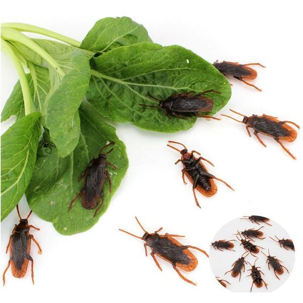 tricky toy simulated cockroach centipede gecko scorpion children toys kids educational plaything kuso novelty funn jllkcn fight2010
tricky toy simulated cockroach centipede gecko scorpion children toys kids educational plaything kuso novelty funn jllkcn fight2010