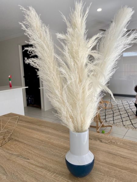 80cm natural reed pampas grass large dried wedding flower ceremony modern home decoration fast shipping q1107
80cm natural reed pampas grass large dried wedding flower ceremony modern home decoration fast shipping q1107