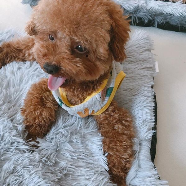 new product cat pad dog pad golden retriever large, medium and small dog autumn and winter washable non-slip plush pet
new product cat pad dog pad golden retriever large, medium and small dog autumn and winter washable non-slip plush pet