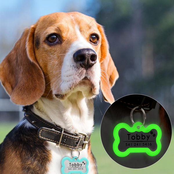 luminous personalized dog id tag stainless steel customised dog tags engraving glowing pet nameplate training clic sqcdwg
luminous personalized dog id tag stainless steel customised dog tags engraving glowing pet nameplate training clic sqcdwg