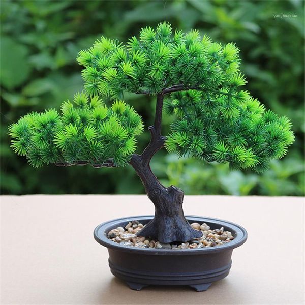 decorative flowers & wreaths artificial flower bonsai green plant zen simulated tree pine potted pot deskdecoration fengshui decor viewi
decorative flowers & wreaths artificial flower bonsai green plant zen simulated tree pine potted pot deskdecoration fengshui decor viewi