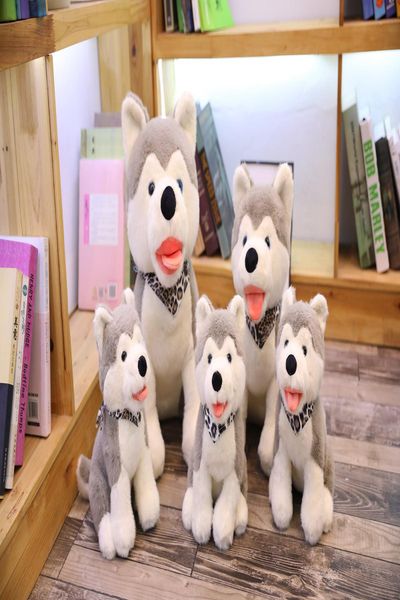 husky plush toy lifelike dog toy stuffed animals dog soft doll realistic animal kids toys gift for children wmtmkj mywjqq
husky plush toy lifelike dog toy stuffed animals dog soft doll realistic animal kids toys gift for children wmtmkj mywjqq