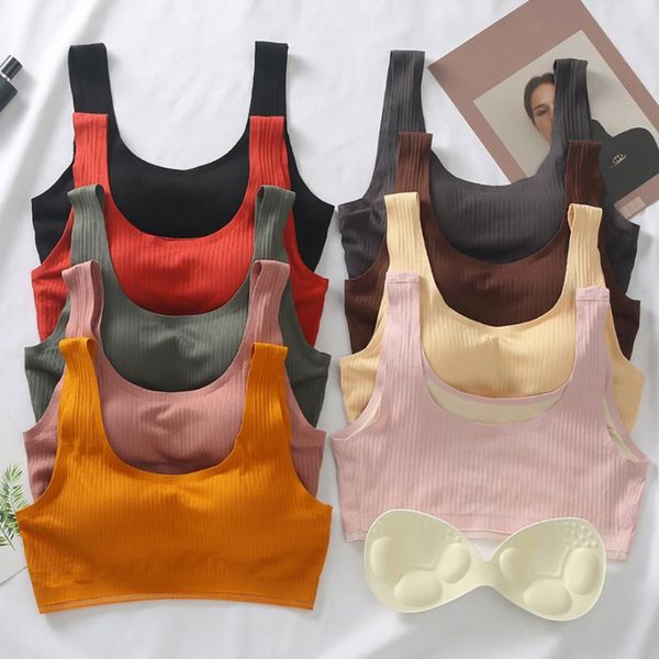 bras fashionable, sexy, elegant and seductive bra, underwired, padded pure color, casual, soft elastic sports bra, Red;black
bras fashionable, sexy, elegant and seductive bra, underwired, padded pure color, casual, soft elastic sports bra, Red;black