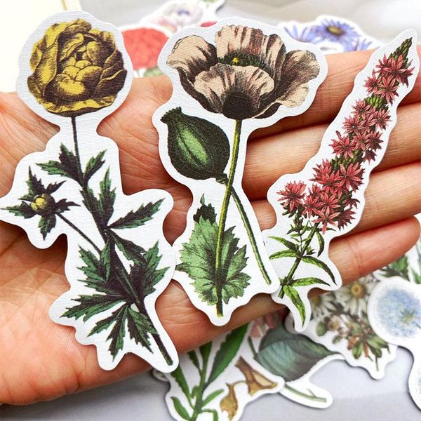gift wrap 40pcs vintage plant stickers diy scrapbooking backing collage diary happy plan phone sealing decorative
gift wrap 40pcs vintage plant stickers diy scrapbooking backing collage diary happy plan phone sealing decorative