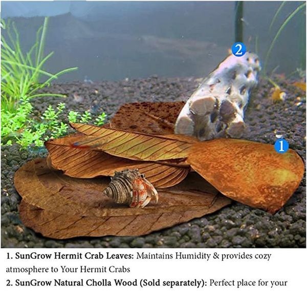 10g 20g 30g 40g 50g fish tank grade a terminalia catappa foetida leaves island almond leaf crystal shrimp improve water bbyyir
10g 20g 30g 40g 50g fish tank grade a terminalia catappa foetida leaves island almond leaf crystal shrimp improve water bbyyir