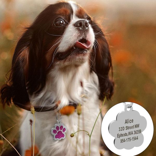 custom dog tag engraved pet puppy name phone id tags glitter paw tag dog cat collar accessories pendant personalized g wmtgyx
custom dog tag engraved pet puppy name phone id tags glitter paw tag dog cat collar accessories pendant personalized g wmtgyx