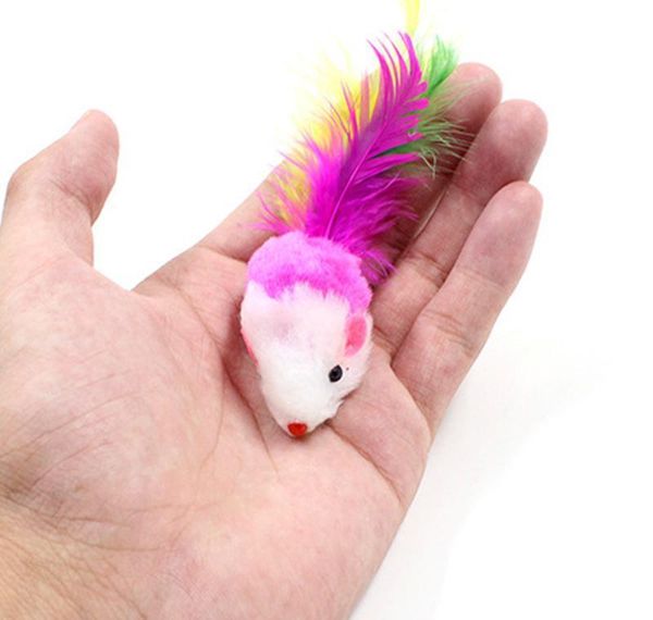 10pcs/lot colorful soft fleece false mouse toys for cat feather funny playing pet dog cat small animals feat jllopz mxyard
10pcs/lot colorful soft fleece false mouse toys for cat feather funny playing pet dog cat small animals feat jllopz mxyard