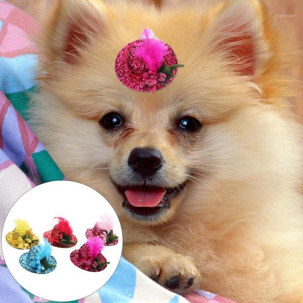 24pcs pet bowler hat adorable pet cosplay headgear hat dressing headwear1
24pcs pet bowler hat adorable pet cosplay headgear hat dressing headwear1