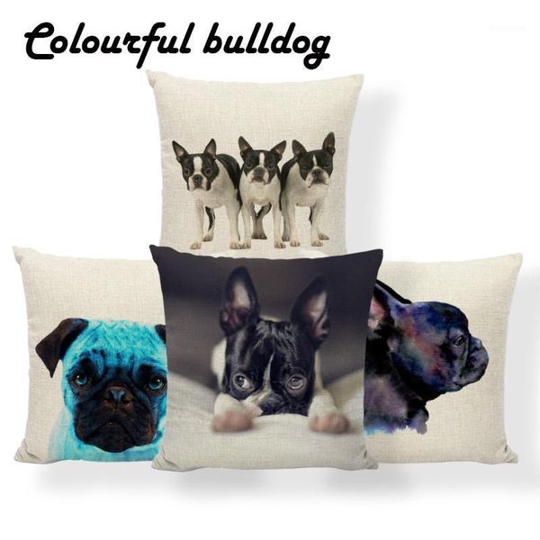 pug boston terrier cushion schnauzer pillowcase home outdoor anniversary gift for couples throw pillow cushion 45*45 polyester1
pug boston terrier cushion schnauzer pillowcase home outdoor anniversary gift for couples throw pillow cushion 45*45 polyester1