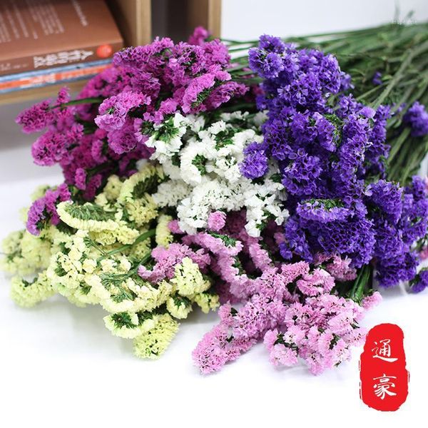 gift wrap forget-me-not dried flowers bouquet eternal dry naturally real color wholesale diy floral flower decoration1
gift wrap forget-me-not dried flowers bouquet eternal dry naturally real color wholesale diy floral flower decoration1