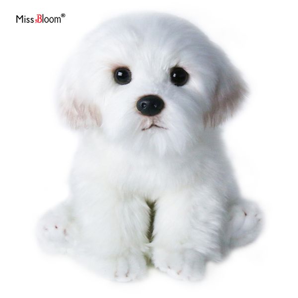 bichon frise puppy stuffed teddy dog plush toy cute simulation pets fluffy baby dolls birthday gifts for children dropshipping 201012
bichon frise puppy stuffed teddy dog plush toy cute simulation pets fluffy baby dolls birthday gifts for children dropshipping 201012