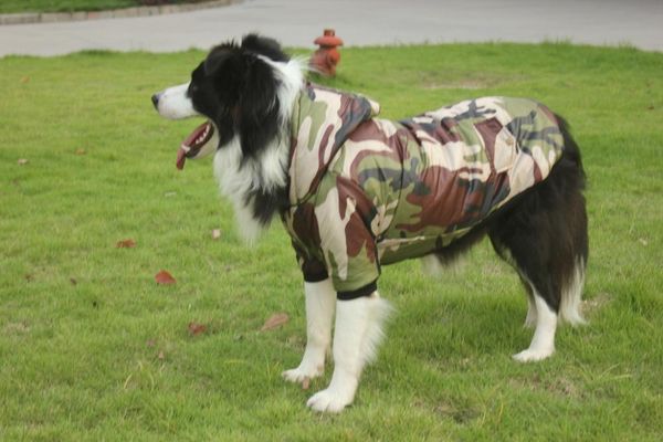 dog apparel pet camouflage coat for husky samoyed golden retriever large clothes warm winter wadded jacket big size costume
dog apparel pet camouflage coat for husky samoyed golden retriever large clothes warm winter wadded jacket big size costume