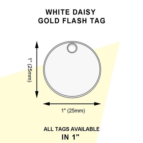 custom pet dog cat id tag personalized round tags engraved stainless steel collar nameplate tag for dogs cats pet acc bbygvn
custom pet dog cat id tag personalized round tags engraved stainless steel collar nameplate tag for dogs cats pet acc bbygvn