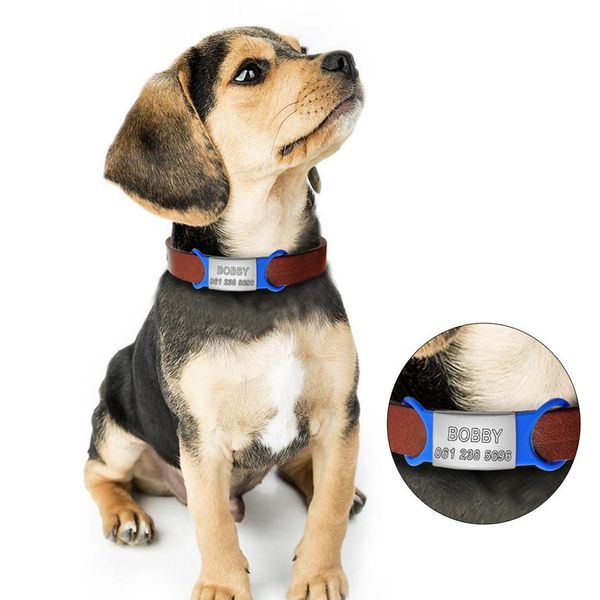 4/8/12pcs/lot stainless steel dog cat id tag on collar custom engraved pet nameplate tags with tensile rubber for pet wmtgyv
4/8/12pcs/lot stainless steel dog cat id tag on collar custom engraved pet nameplate tags with tensile rubber for pet wmtgyv