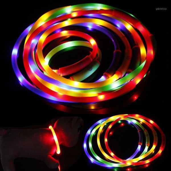 led dog collar light can cut usb rechargeable glowing dog collars luminous pet night charging collars for small medium large1
led dog collar light can cut usb rechargeable glowing dog collars luminous pet night charging collars for small medium large1
