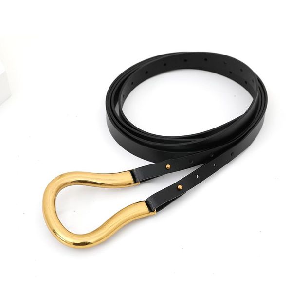 2020new fashion soft faux leather belts women big alloy buckle thin double layer waistbands shirt knotted belt long waist belts 2020, Black;brown 
2020new fashion soft faux leather belts women big alloy buckle thin double layer waistbands shirt knotted belt long waist belts 2020, Black;brown