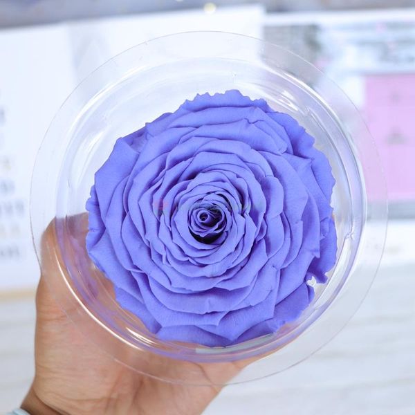 1pcs imported preserved fresh flower rose amor giant 10cm rose heart-shaped 7-8cm small giant ecuador
1pcs imported preserved fresh flower rose amor giant 10cm rose heart-shaped 7-8cm small giant ecuador