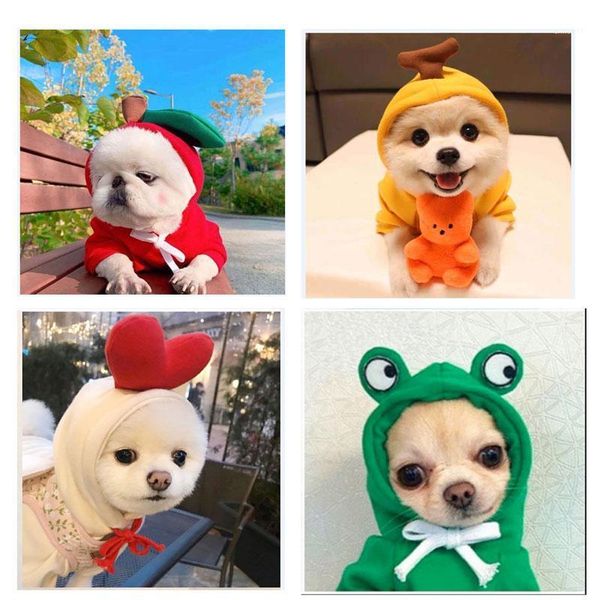 dogs cats autumn and winter sweaters fleece clothing supplies pet teddy dress up1
dogs cats autumn and winter sweaters fleece clothing supplies pet teddy dress up1