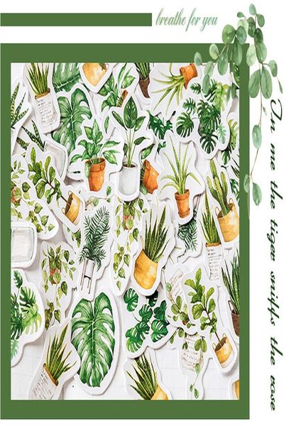 45 pc cute green oxygen life diary paper label sealing stickers scrapbooking decorative lifelog diy stationery bbyktf bwkf
45 pc cute green oxygen life diary paper label sealing stickers scrapbooking decorative lifelog diy stationery bbyktf bwkf