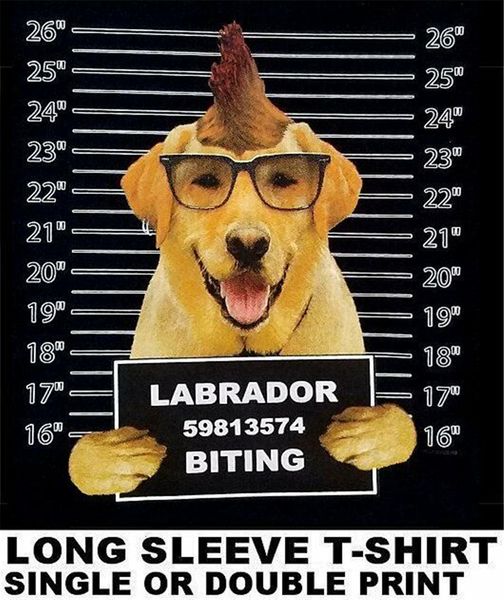 very cool labrador retriever mug sfunny dog art long sleeve ws779 harajuku fashion classic sport hooded sweatshirt hoodie t shirt
very cool labrador retriever mug sfunny dog art long sleeve ws779 harajuku fashion classic sport hooded sweatshirt hoodie t shirt