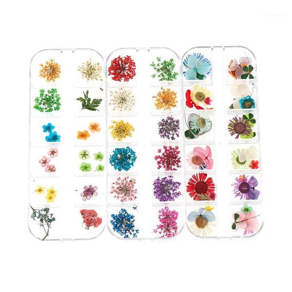 decorative flowers & wreaths 1 box real dried daisy hydrangea flower dry plants for epoxy resin pendant necklace jewelry making craft diy ac
decorative flowers & wreaths 1 box real dried daisy hydrangea flower dry plants for epoxy resin pendant necklace jewelry making craft diy ac