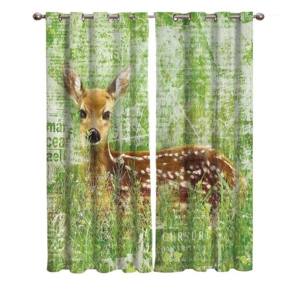 a deer in the woods with a retro abstract background window living room kitchen outdoor indoor1
a deer in the woods with a retro abstract background window living room kitchen outdoor indoor1