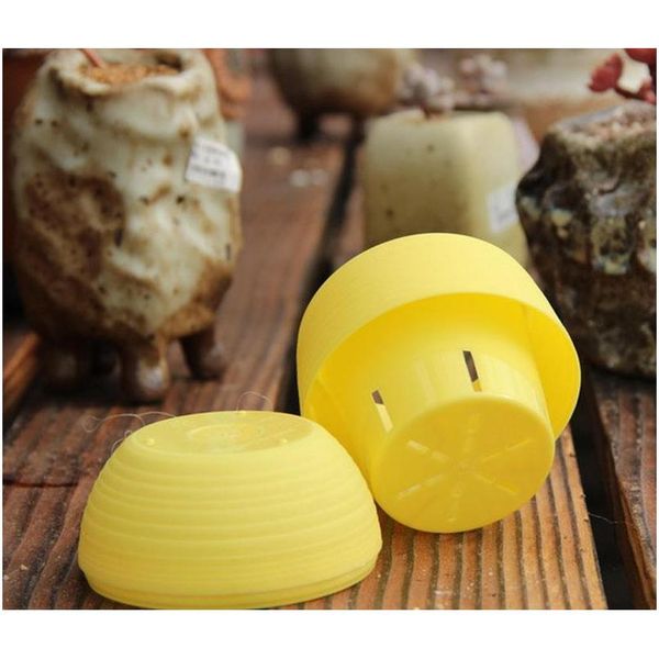 mini round plastic succulent plant flower pot garden home office deskdecor micro landscape planter unb bbyotd bdesports
mini round plastic succulent plant flower pot garden home office deskdecor micro landscape planter unb bbyotd bdesports