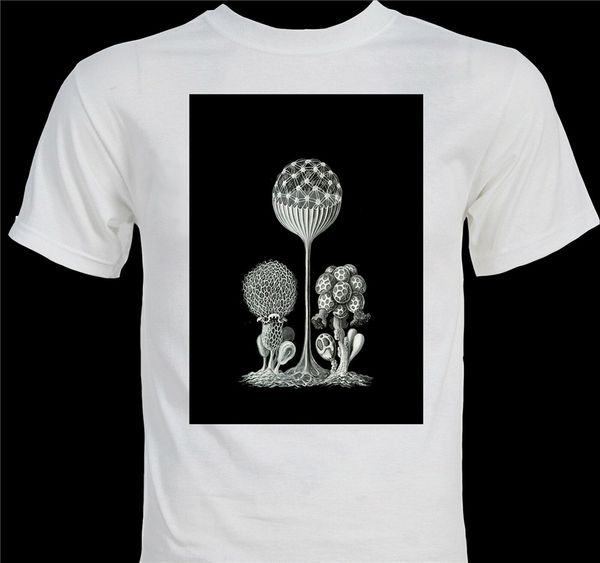 ernst haeckel biological art zoology gift for men size s 3xl casual print fashion hoodie designers t shirts sweatshirt
ernst haeckel biological art zoology gift for men size s 3xl casual print fashion hoodie designers t shirts sweatshirt
