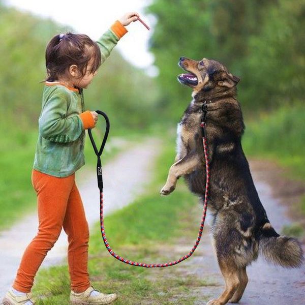 nylon reflective dog leash pet training leashes safety 6ft long mountain climbing rope dog lead for small medium la wmtmom
nylon reflective dog leash pet training leashes safety 6ft long mountain climbing rope dog lead for small medium la wmtmom