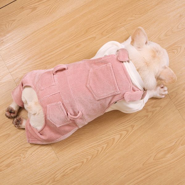 personality solid color pet apparel cute teddy bulldog schnauzer dog clothes fashion small dog cat pet apparel
personality solid color pet apparel cute teddy bulldog schnauzer dog clothes fashion small dog cat pet apparel