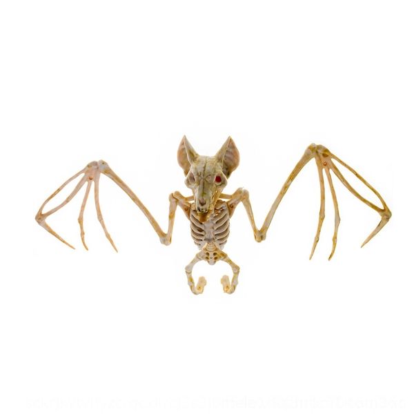 oy3nb halloween halloween bat decoration skeleton ghost head simulation plastic bat skeleton horror ghost house decoration zwuhy
oy3nb halloween halloween bat decoration skeleton ghost head simulation plastic bat skeleton horror ghost house decoration zwuhy