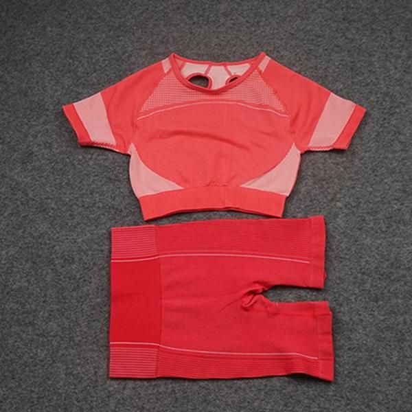 new fashion designer women's cotton yoga suit, sportswear, fitness 2-piece set, 2-piece bra or t-shirt and tights set 013, Gray 
new fashion designer women's cotton yoga suit, sportswear, fitness 2-piece set, 2-piece bra or t-shirt and tights set 013, Gray