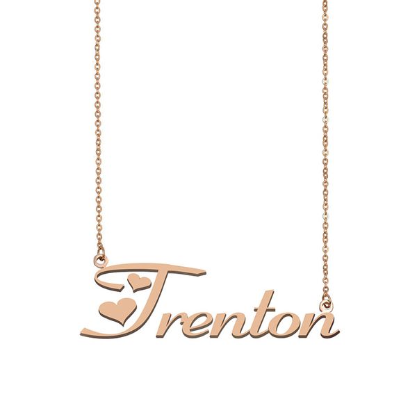 trenton name necklace custom nameplate pendant for women girls birthday gift kids friends jewelry 18k gold plated stainless steel, Silver
trenton name necklace custom nameplate pendant for women girls birthday gift kids friends jewelry 18k gold plated stainless steel, Silver