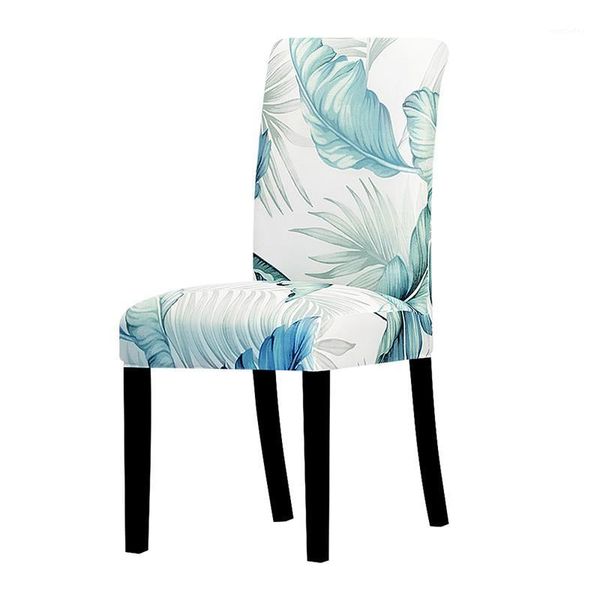 chair covers universal size cover stretch big elastic slipcovers removable washable dining seat restaurant home1
chair covers universal size cover stretch big elastic slipcovers removable washable dining seat restaurant home1