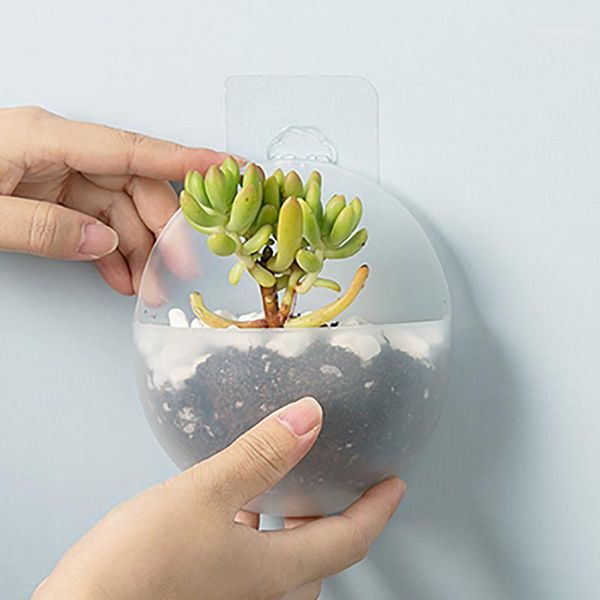 hooks & rails wall-mounted flower pot hydroponics built-in pp hook wall hanging fish tank vase for home decoration1
hooks & rails wall-mounted flower pot hydroponics built-in pp hook wall hanging fish tank vase for home decoration1
