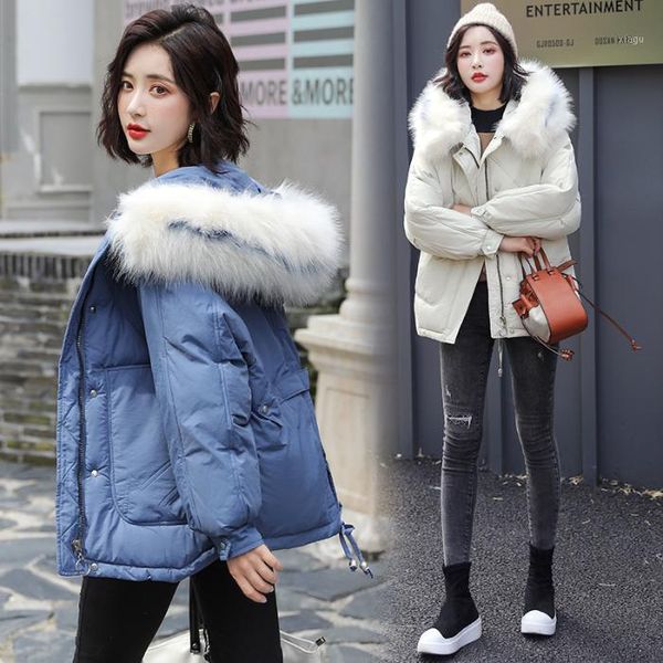 fall 2020 south korea east gate down dress female short-style large-collar students bf cotton-padded bread dress net red1, Black
fall 2020 south korea east gate down dress female short-style large-collar students bf cotton-padded bread dress net red1, Black