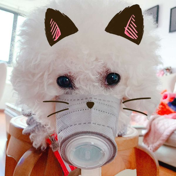 mask for haze kirgitti mouth cover small random eating special anti biting dog 
mask for haze kirgitti mouth cover small random eating special anti biting dog