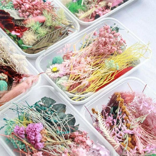 decorative flowers & wreaths 1 box real pressed flower leaf dried daisy resin beauty dry decals fillings making nail jewelry epoxy art mold
decorative flowers & wreaths 1 box real pressed flower leaf dried daisy resin beauty dry decals fillings making nail jewelry epoxy art mold