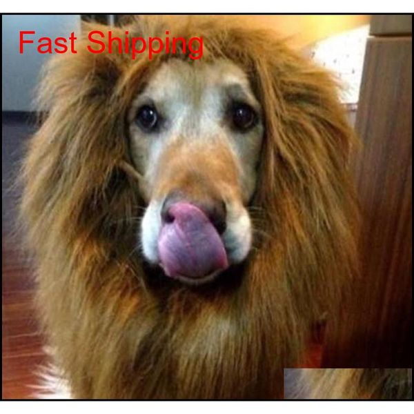 pet costume cat dog halloween clothes fancy cute dress up lion mane wig for large dogs hall qylwnz bbgargden
pet costume cat dog halloween clothes fancy cute dress up lion mane wig for large dogs hall qylwnz bbgargden