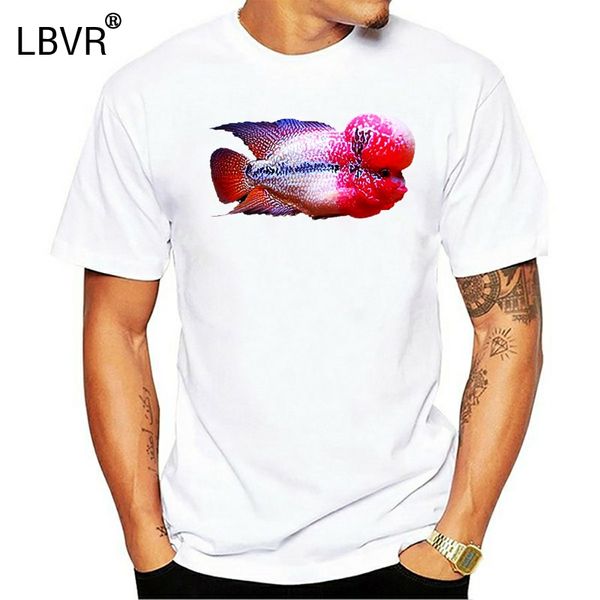 flowerhorn fish black men's new arrival summer style short sleeve leisure fashion funny for sport hooded sweatshirt hoodie t shirt
flowerhorn fish black men's new arrival summer style short sleeve leisure fashion funny for sport hooded sweatshirt hoodie t shirt