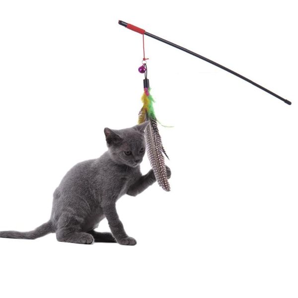 cat toys pet toy cute design steel wire feather teaser wand plastic for cats color multi products
cat toys pet toy cute design steel wire feather teaser wand plastic for cats color multi products