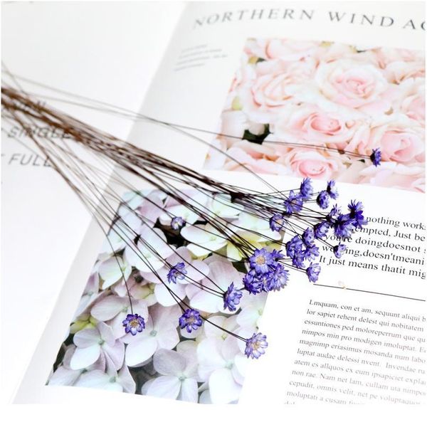30pcs happy flower small natural dried flower bouquet mini flower for diy wedding home decor accessories fake pho jllhsb
30pcs happy flower small natural dried flower bouquet mini flower for diy wedding home decor accessories fake pho jllhsb