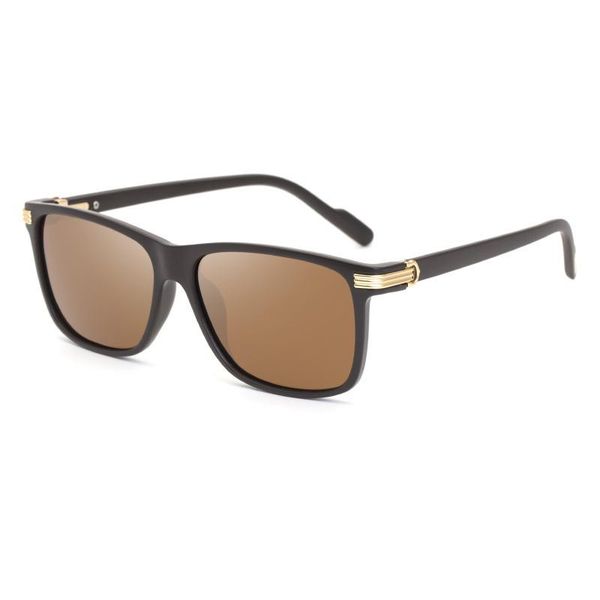 2020 new polarizing sunglasses men's ultra light sunglasses men's trendy glasses ct0160s, White;black
2020 new polarizing sunglasses men's ultra light sunglasses men's trendy glasses ct0160s, White;black