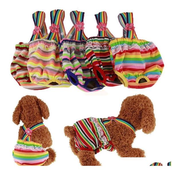 dog diapers washable female physiological pants for pets underwear puppy diaper reusable dog diapers washable sanitary wraps 8rxib
dog diapers washable female physiological pants for pets underwear puppy diaper reusable dog diapers washable sanitary wraps 8rxib
