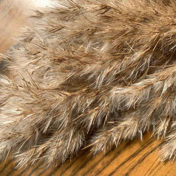 10/20pcs dried pampas grass bouquet wedding flower bunch natural plants home decor q1215
10/20pcs dried pampas grass bouquet wedding flower bunch natural plants home decor q1215