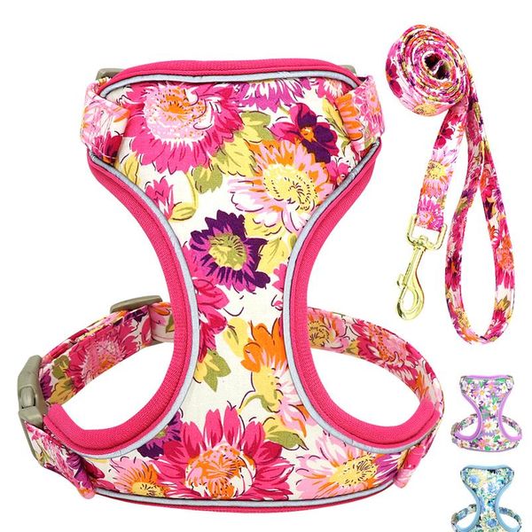 reflective nylon dog harness floral printed dog harness vest and leash set for small medium dogs pet walking harness le bbypsj
reflective nylon dog harness floral printed dog harness vest and leash set for small medium dogs pet walking harness le bbypsj